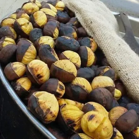 Nina's House 4 A 300 Mt Dal Mare *