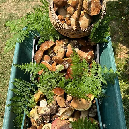 Nina's House 4 A 300 Mt Dal Mare Santa Caterina Dello Ionio Marina