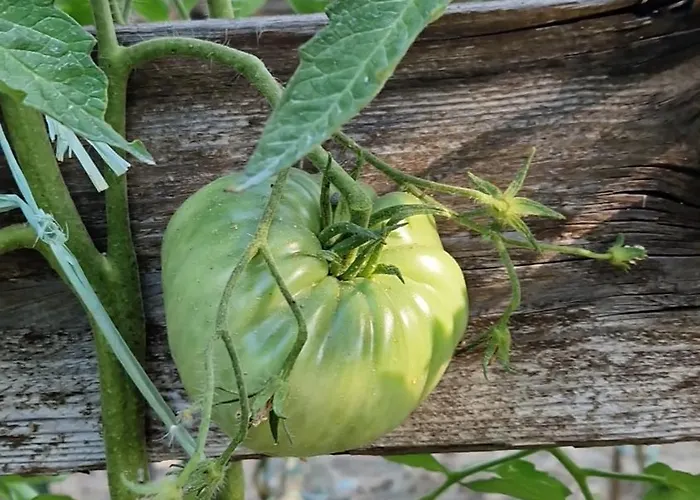 דירה Nina's House 4 A 300 Mt Dal Mare