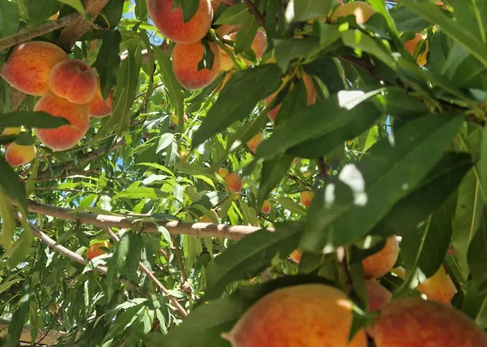 Nina's House 4 A 300 Mt Dal Mare