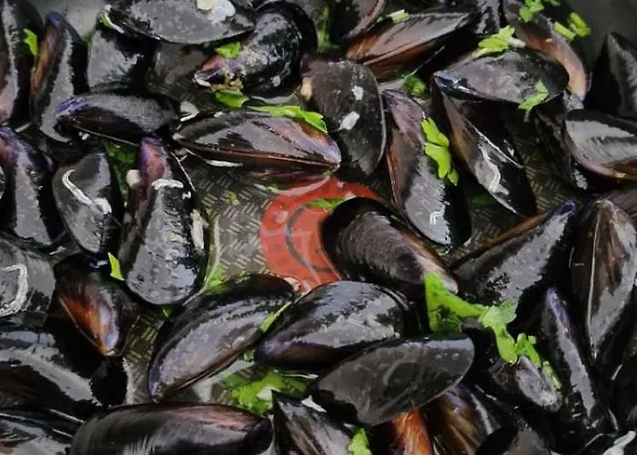 Nina's House 4 A 300 Mt Dal Mare דירה Santa Caterina Dello Ionio Marina