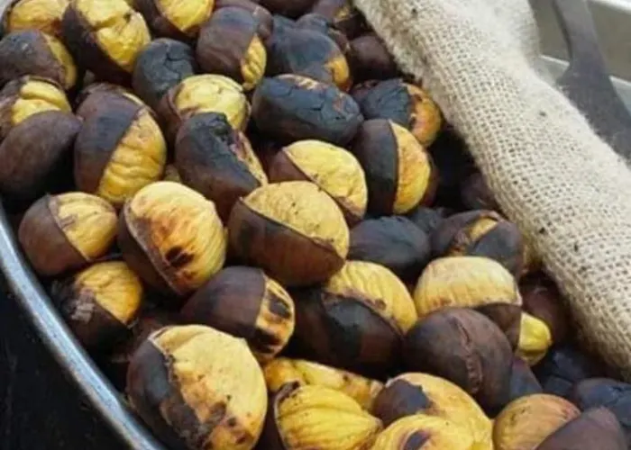 Nina's House 4 A 300 Mt Dal Mare *