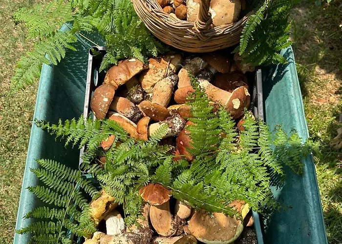 Nina's House 4 A 300 Mt Dal Mare Santa Caterina Dello Ionio Marina